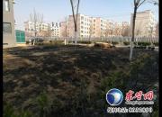 锦华社区翠湖小区发生火灾 原是儿童放鞭炮引燃